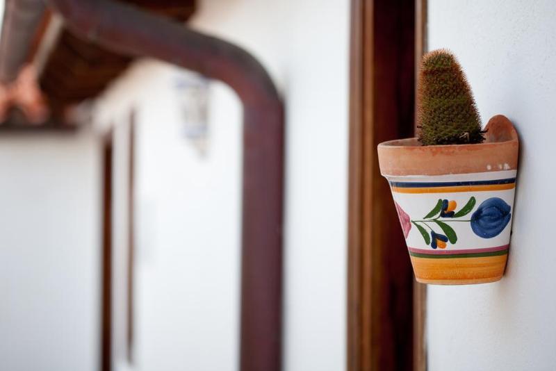 بوينافيستا ديل نورتي Hotelito El Tejado المظهر الخارجي الصورة